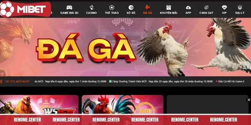 da-ga-mibet-khai-quat