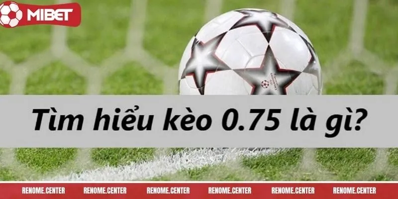 keo-chap-0-75-chi-tiet